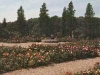 boerner botanical gardens